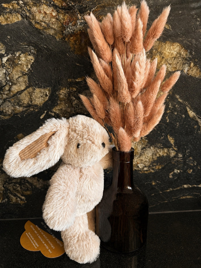 Hugh bunny