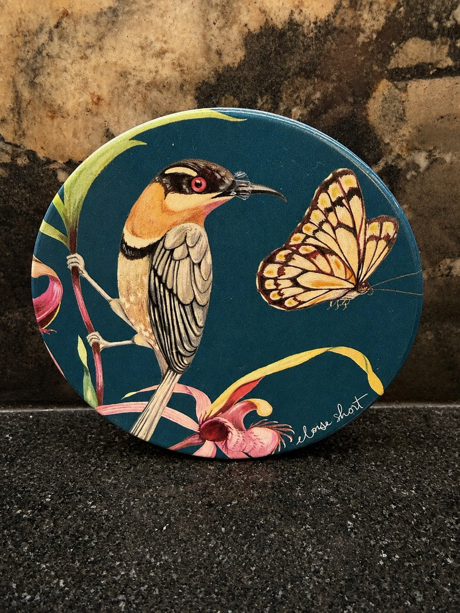 Bird & butterfly coaster